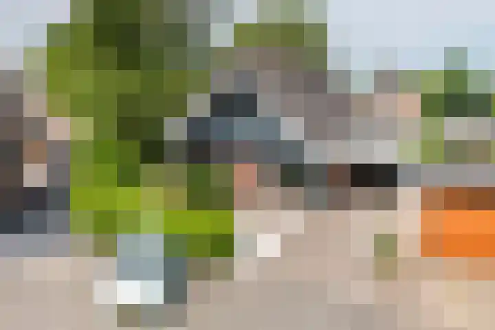 De Ganzenhof 51 Ophemert thumbnail 4
