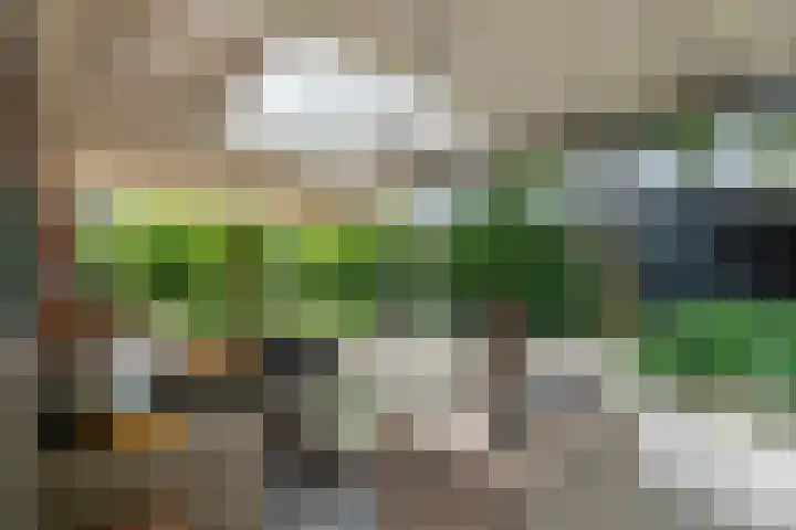 De Ganzenhof 51 Ophemert thumbnail 40