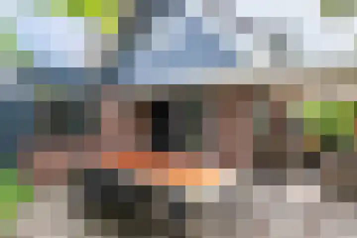 De Ganzenhof 51 Ophemert thumbnail 41