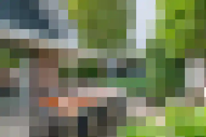 De Ganzenhof 51 Ophemert thumbnail 42