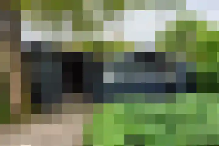 De Ganzenhof 51 Ophemert thumbnail 43