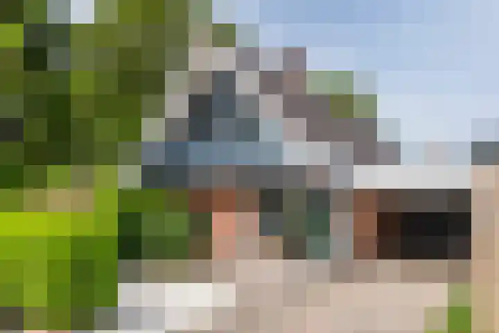 De Ganzenhof 51 Ophemert thumbnail 52