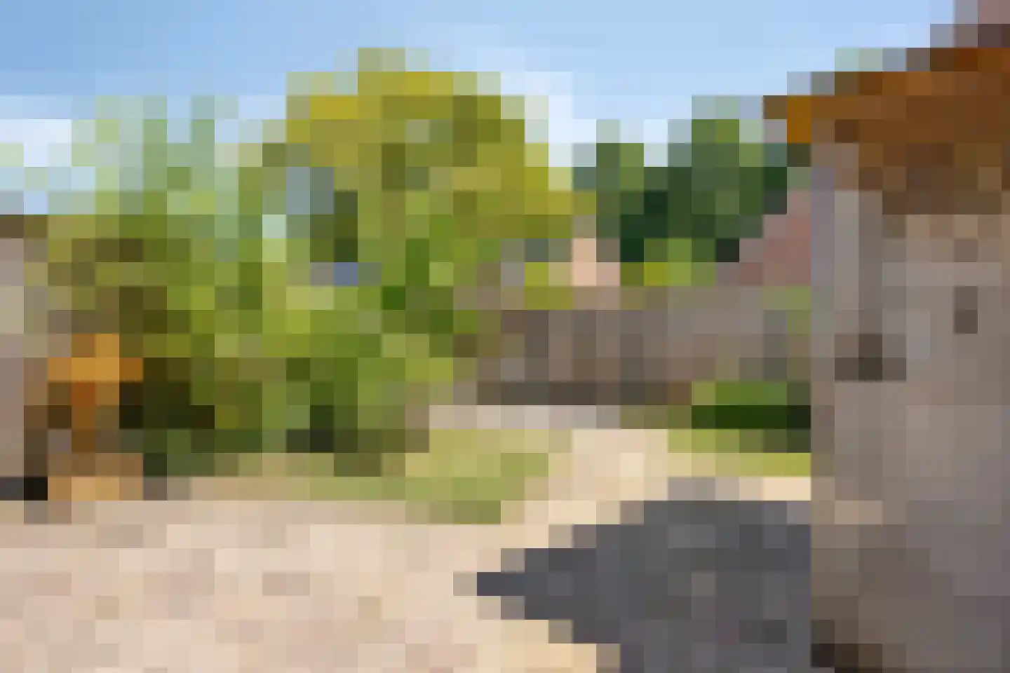 De Ganzenpoel 21 Westervoort thumbnail 21