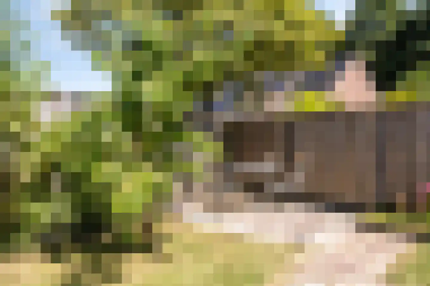 De Ganzenpoel 21 Westervoort thumbnail 25
