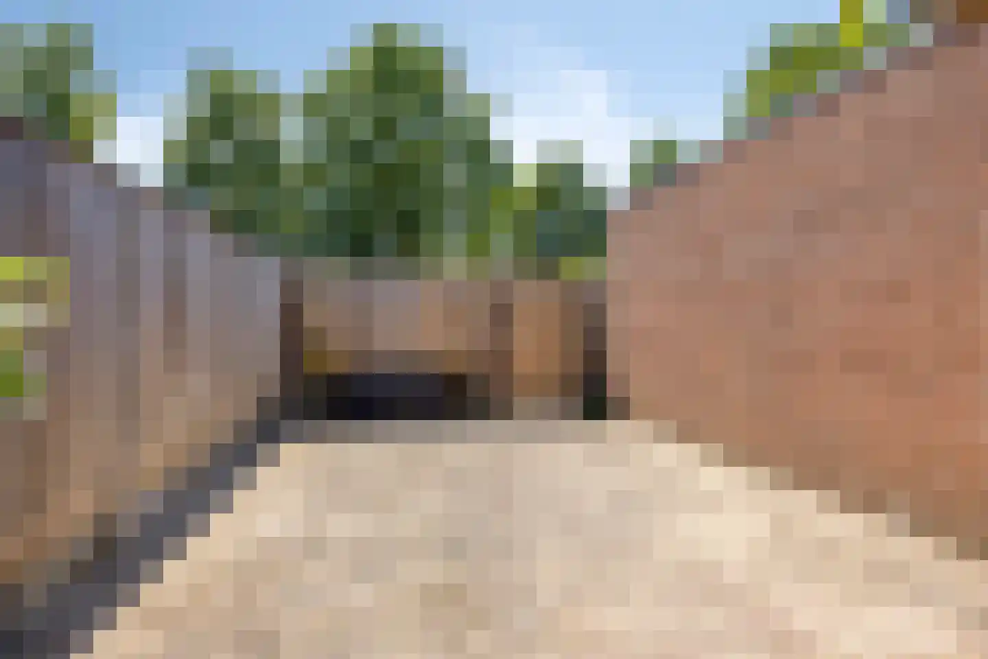 De Ganzenpoel 21 Westervoort thumbnail 28