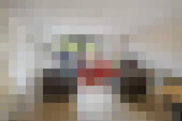 De Ganzenwei 14 Waalre thumbnail 11
