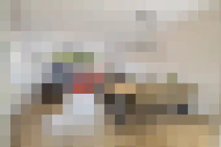 De Ganzenwei 14 Waalre thumbnail 13