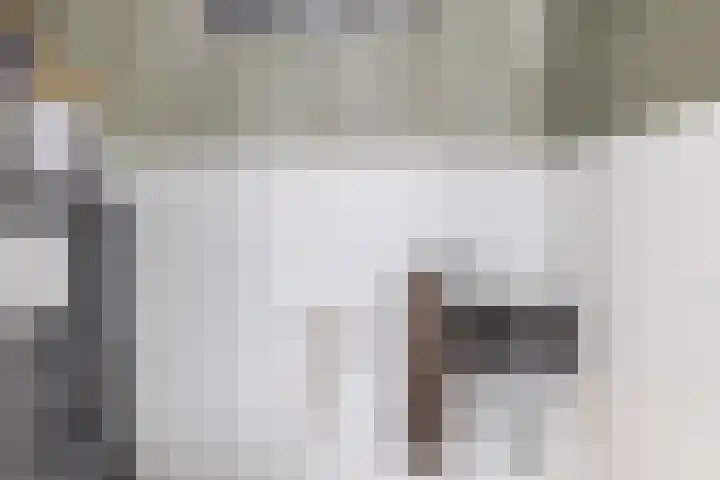 De Ganzenwei 14 Waalre thumbnail 14