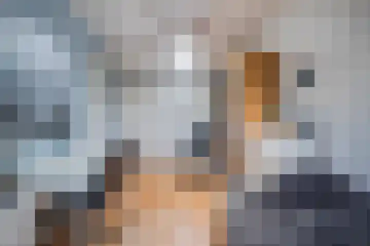 De Ganzenwei 14 Waalre thumbnail 22
