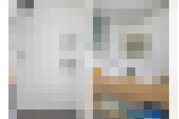 De Ganzenwei 14 Waalre thumbnail 24