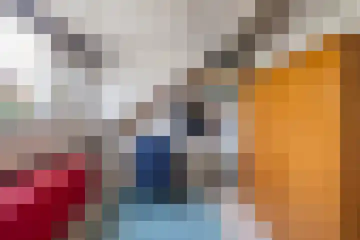 De Ganzenwei 14 Waalre thumbnail 27