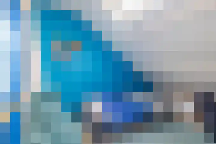 De Ganzenwei 14 Waalre thumbnail 29