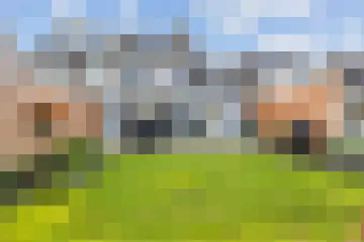 De Ganzenwei 14 Waalre thumbnail 32