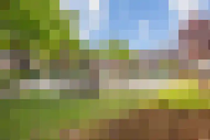 De Ganzenwei 14 Waalre thumbnail 34