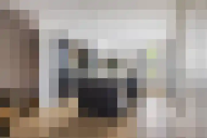 De Ganzenwei 14 Waalre thumbnail 6