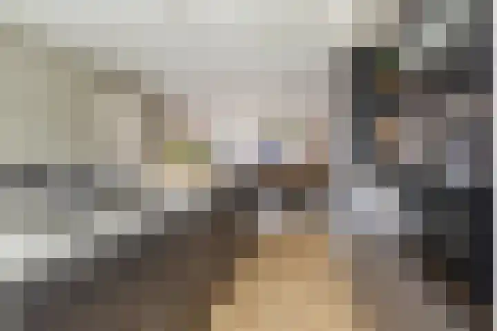 De Ganzenwei 14 Waalre thumbnail 8