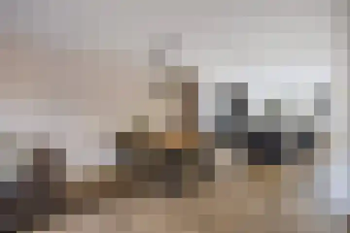 De Ganzenwei 14 Waalre thumbnail 9