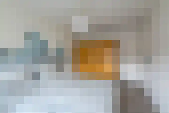 De Ganzenwei 23 Waalre thumbnail 13