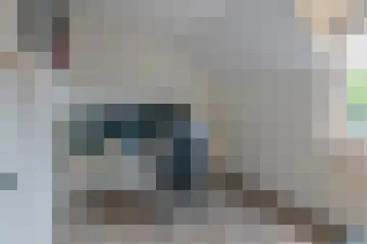 De Ganzenwei 23 Waalre thumbnail 14