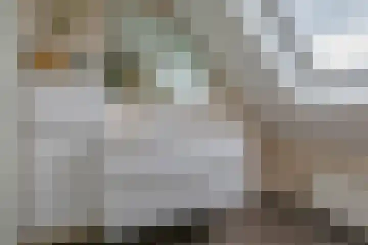 De Ganzenwei 23 Waalre thumbnail 15