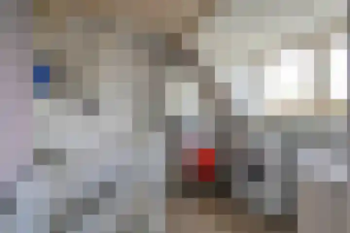De Ganzenwei 23 Waalre thumbnail 17