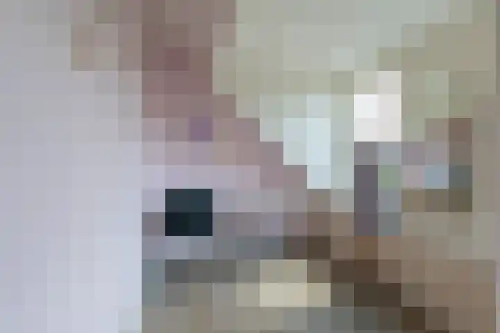 De Ganzenwei 23 Waalre thumbnail 19