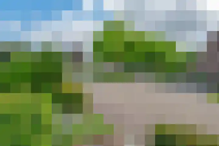 De Ganzenwei 23 Waalre thumbnail 23
