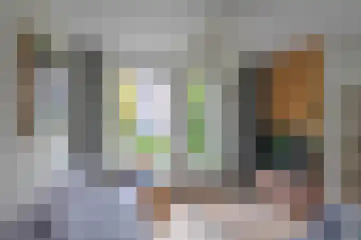 De Ganzenwei 23 Waalre thumbnail 4
