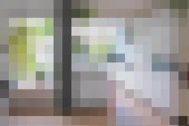 De Ganzenwei 23 Waalre thumbnail 8