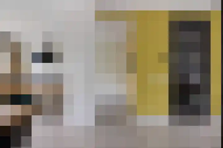 De Ganzenwei 9 Waalre thumbnail 10