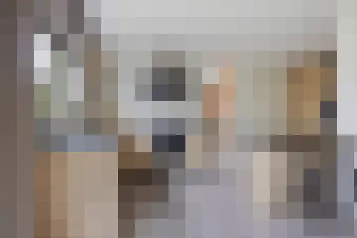 De Ganzenwei 9 Waalre thumbnail 12