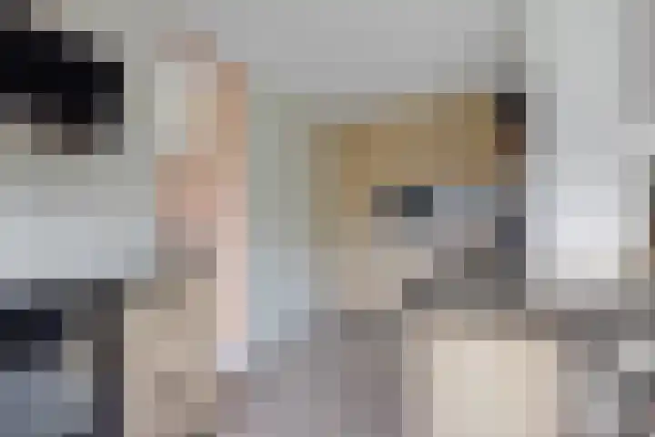 De Ganzenwei 9 Waalre thumbnail 13