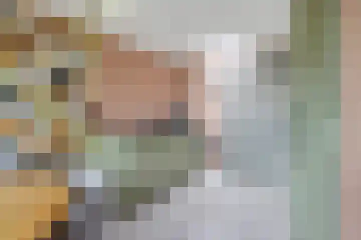De Ganzenwei 9 Waalre thumbnail 18