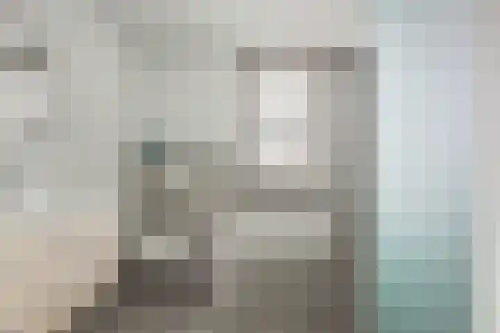 De Ganzenwei 9 Waalre thumbnail 26