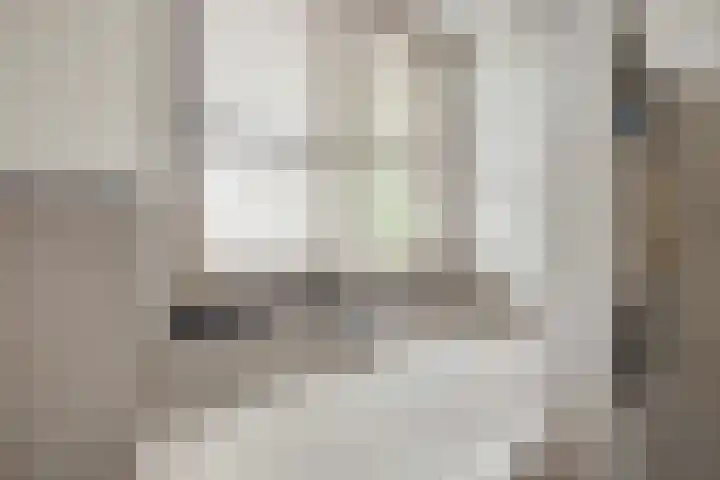 De Ganzenwei 9 Waalre thumbnail 28