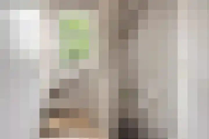 De Ganzenwei 9 Waalre thumbnail 29