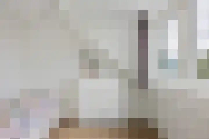 De Ganzenwei 9 Waalre thumbnail 34