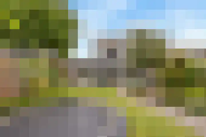 De Ganzenwei 9 Waalre thumbnail 35