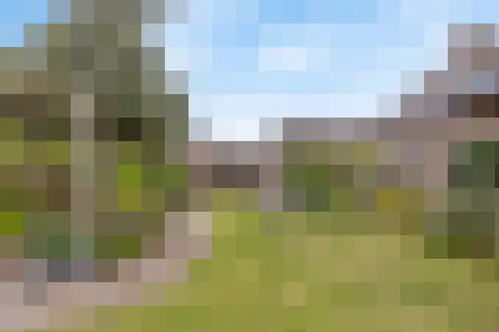 De Ganzenwei 9 Waalre thumbnail 36