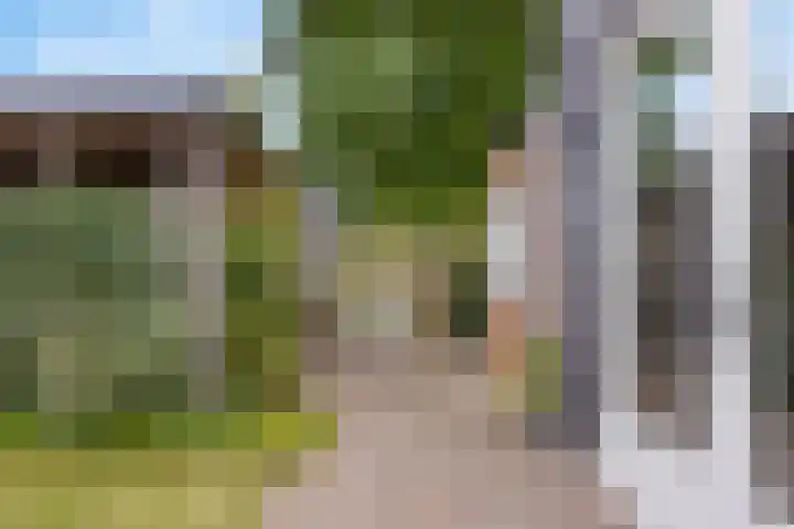 De Ganzenwei 9 Waalre thumbnail 37
