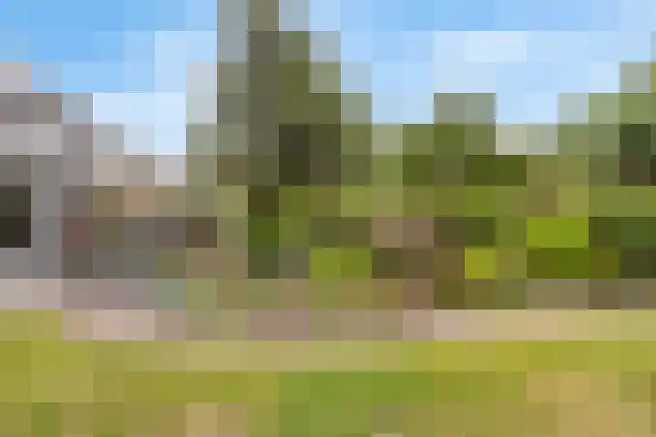 De Ganzenwei 9 Waalre thumbnail 39