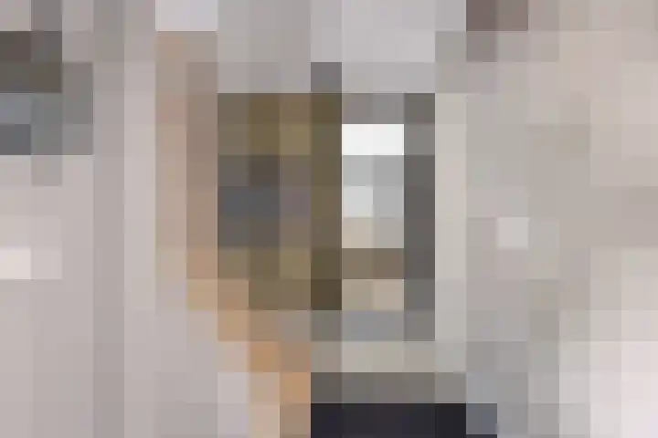 De Ganzenwei 9 Waalre thumbnail 4