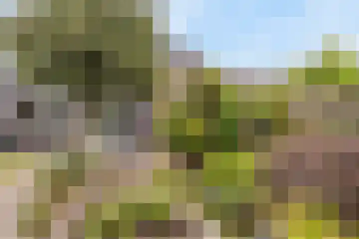 De Ganzenwei 9 Waalre thumbnail 41
