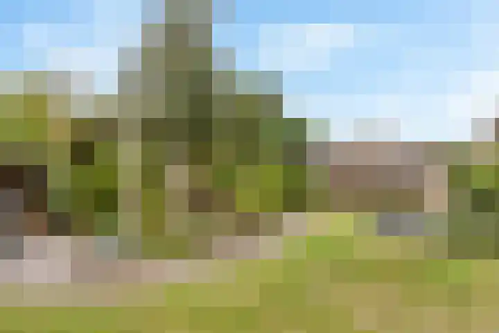 De Ganzenwei 9 Waalre thumbnail 42