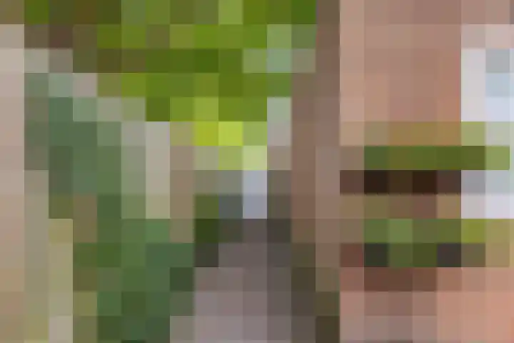 De Ganzenwei 9 Waalre thumbnail 43