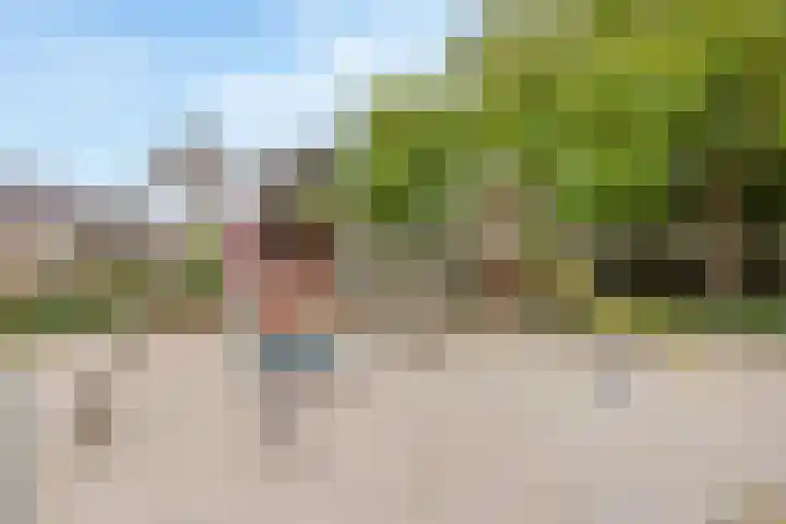 De Ganzenwei 9 Waalre thumbnail 44