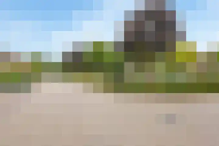 De Ganzenwei 9 Waalre thumbnail 45
