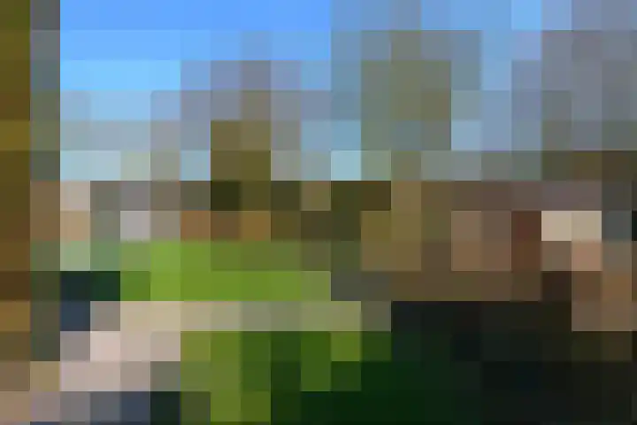 de Garde 10 Zelhem thumbnail 12
