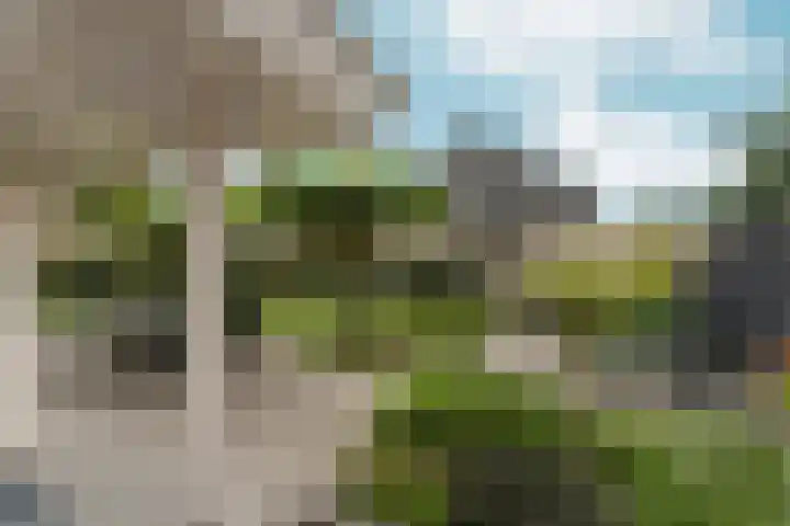 de Garde 10 Zelhem thumbnail 18