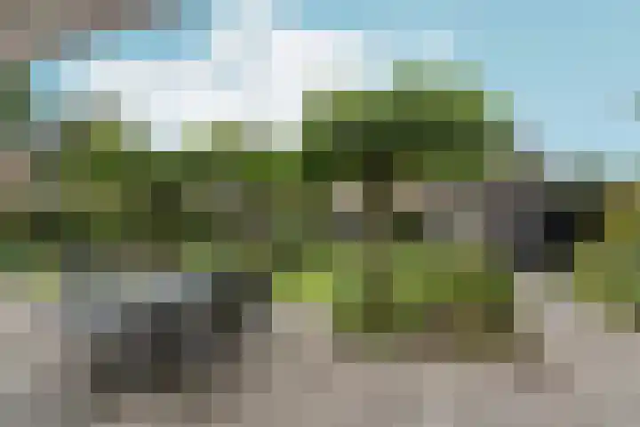 de Garde 10 Zelhem thumbnail 19